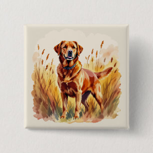 Chapa Cuadrada Perro Labrador Retriever Fox Rojo