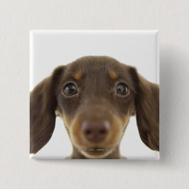 Chapa Cuadrada Perro Wiener (marrón) 2