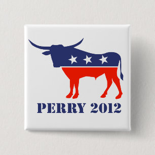 Chapa Cuadrada Perry 2012