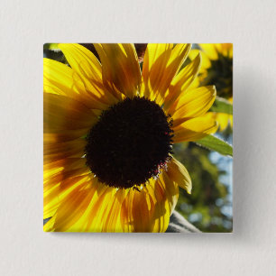 Chapa Cuadrada Personalizable del girasol por la mañana