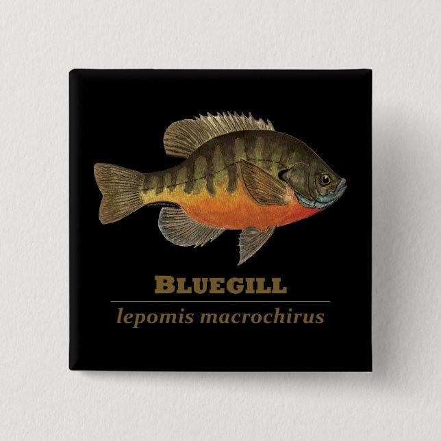Chapa Cuadrada Pesca de pasto azul (Anverso)
