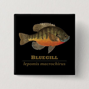 Chapa Cuadrada Pesca de pasto azul