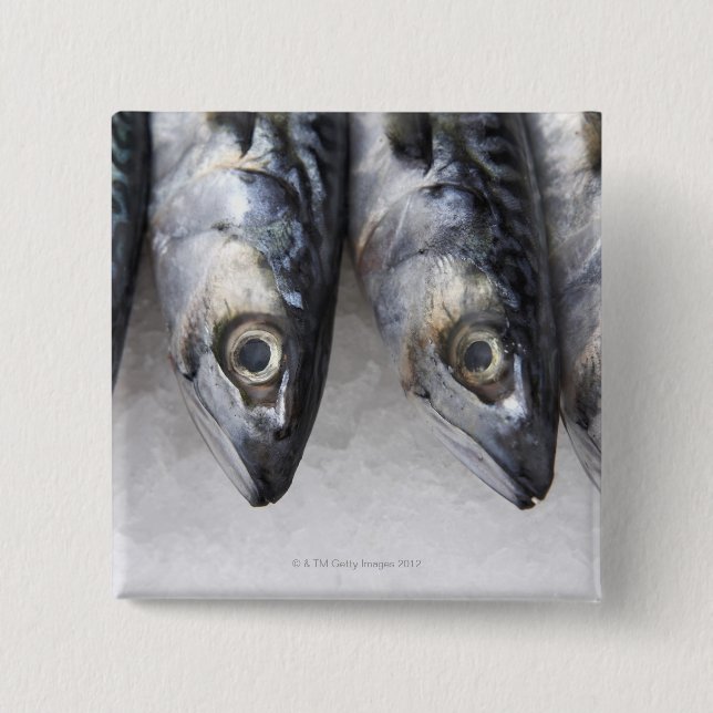 Chapa Cuadrada Pescado de caballa, pescado fresco del día (Anverso)