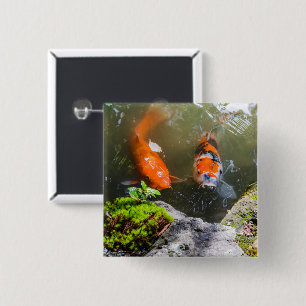 Chapa Cuadrada Pescado de Koi en un estanque