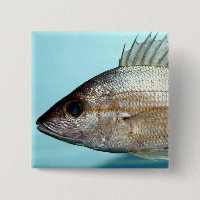 Pescados del ronco