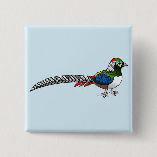 Chapa Cuadrada Pheasant de señora Amherst