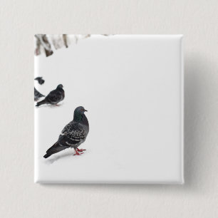 Chapa Cuadrada Pigeones