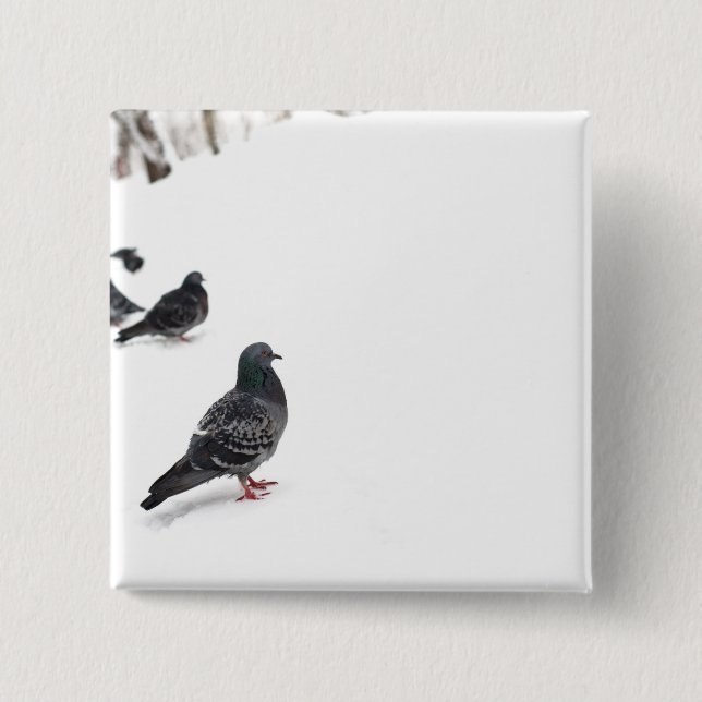 Chapa Cuadrada Pigeones (Anverso)