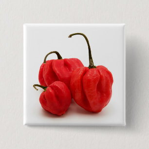 Chapa Cuadrada Pimientos de pimento dulce