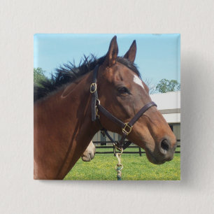 Chapa Cuadrada Pin árabe alerta del caballo