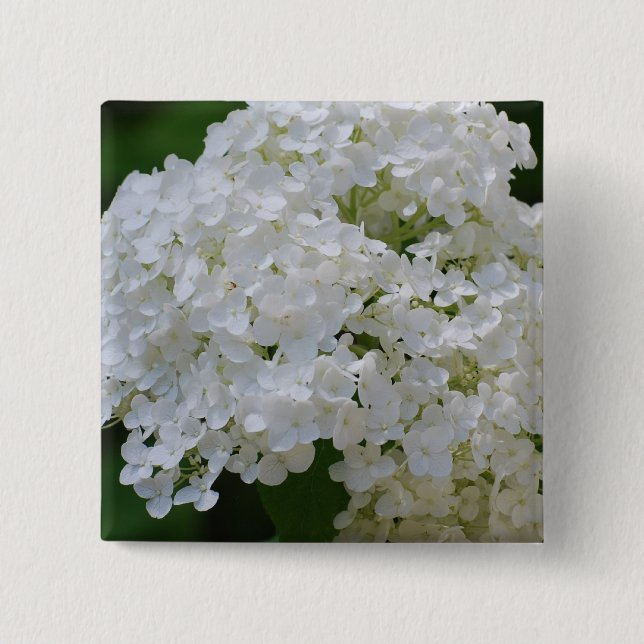 Chapa Cuadrada Pin blanco de los Hydrangeas (Anverso)