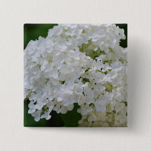 Chapa Cuadrada Pin blanco de los Hydrangeas