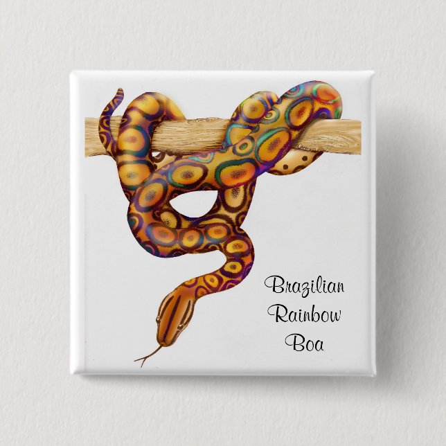 Chapa Cuadrada Pin brasileño de la boa del arco iris (Anverso)
