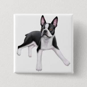 Chapa Cuadrada Pin de Boston Terrier