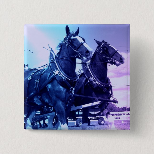 Chapa Cuadrada Pin de Clydesdale (Anverso)