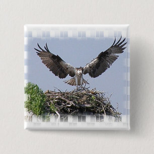 Chapa Cuadrada Pin de la jerarquía de Osprey
