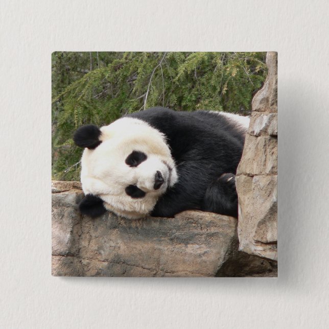 Chapa Cuadrada Pin de la panda (Anverso)