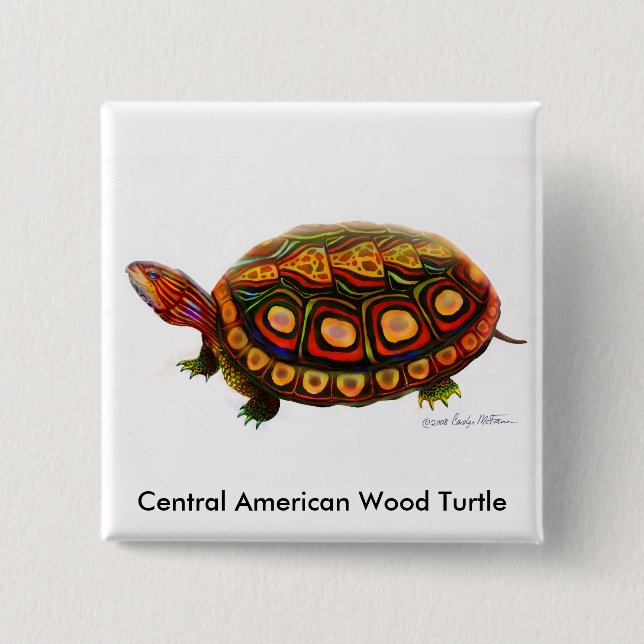 Chapa Cuadrada Pin de madera centroamericano de la tortuga (Anverso)