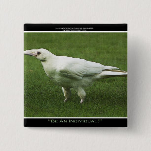 Chapa Cuadrada Pin de motivación Raven Blanco Raras