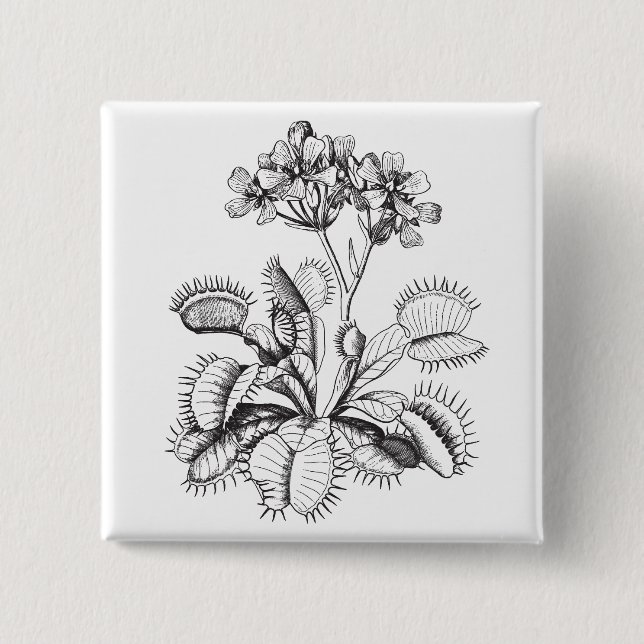 Chapa Cuadrada Pin del atrapamoscas de Venus (Anverso)