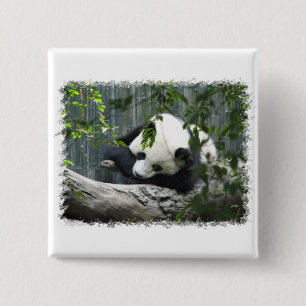 Chapa Cuadrada Pin del cuadrado de la panda gigante