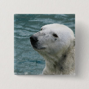Chapa Cuadrada Pin del cuadrado del perfil del oso polar