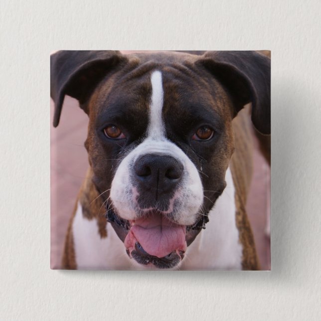 Chapa Cuadrada Pin del cuadrado del perrito del boxeador (Anverso)