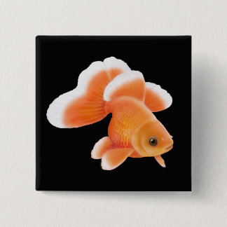 Chapa Cuadrada Pin del Goldfish de la cola de la mariposa de
