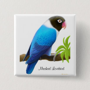 Chapa Cuadrada Pin enmascarado del Lovebird