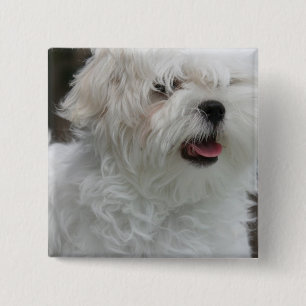 Chapa Cuadrada Pin maltés blanco del cuadrado del perrito