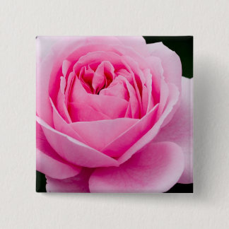 Chapa Cuadrada Pin subió del rosa en colores pastel