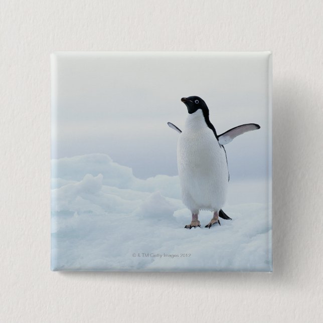 Chapa Cuadrada Pingüino Adelie, Antártida (Anverso)