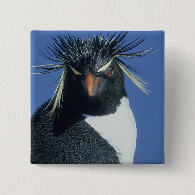 Chapa Cuadrada Pingüino saltarrocas (Eudyptes chrysocome) (Anverso)