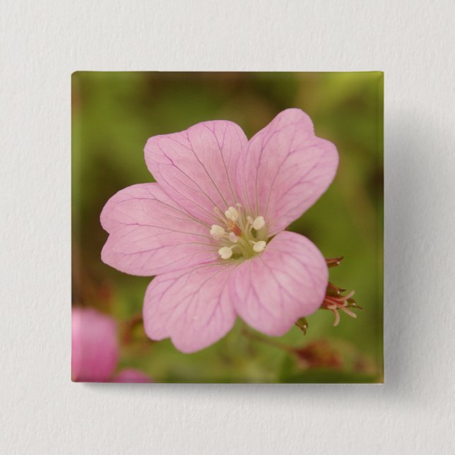 Chapa Cuadrada Pink Geranium Badge (Anverso)