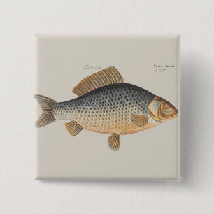Chapa Cuadrada pintura de pesca de carpa dibujo de agua dulce 