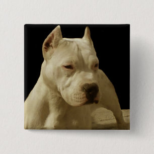 Chapa Cuadrada Pitbull blanco