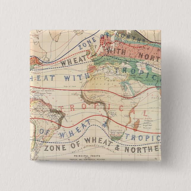 Chapa Cuadrada Plantas de distribución (Anverso)