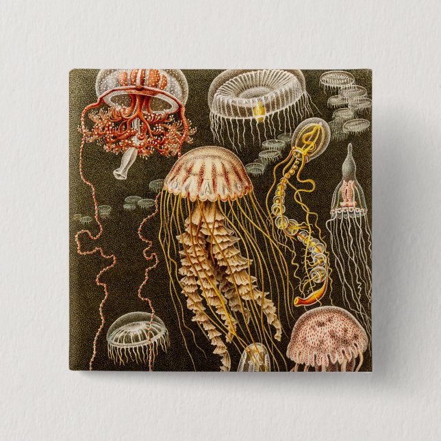 Chapa Cuadrada Plantilla de los pescados de jalea de la (Anverso)