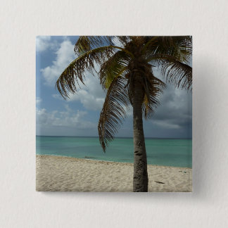 Chapa Cuadrada Playa de Aruba I Bella Escena Natural