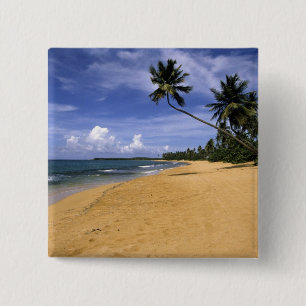 Chapa Cuadrada Playa Puerto Rico 2