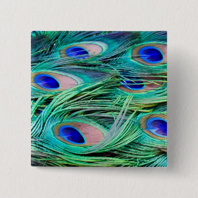 Chapa Cuadrada Plumas del pavo real (Anverso)