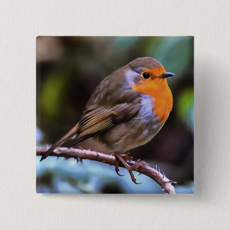 Chapa Cuadrada Plump Robin Colgado En Una Rama De Arte De Vida Si