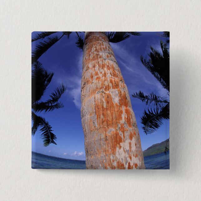 Chapa Cuadrada Polinesia Francesa, Bora Bora, Palmeras (Anverso)