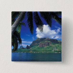 Chapa Cuadrada Polinesia Francesa, Moorea. Bahía de Cooks. Verde