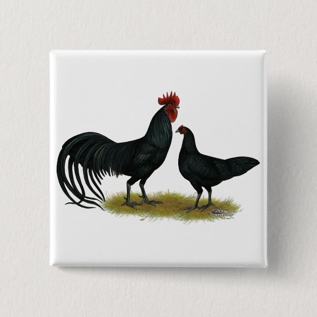 Chapa Cuadrada Pollos de cultivo Tomaru Long (Anverso)
