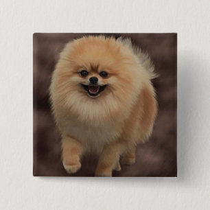 Chapa Cuadrada Pomeranian