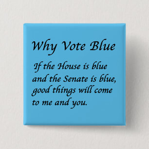 Chapa Cuadrada Por qué votar azul en 2024