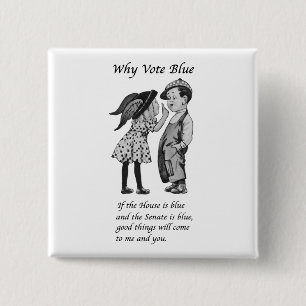 Chapa Cuadrada Por qué votar azul en 2024