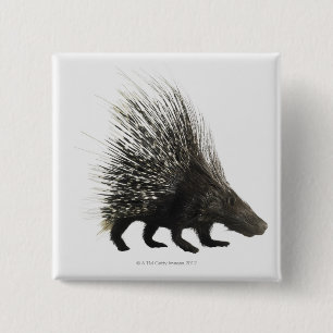 Chapa Cuadrada Porcupina