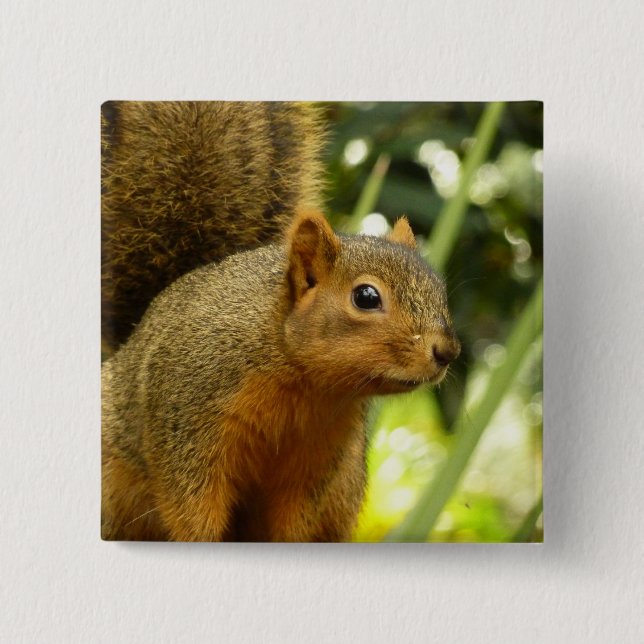 Chapa Cuadrada Portrait of a Squirrel Nature Animal Photography (Anverso)
